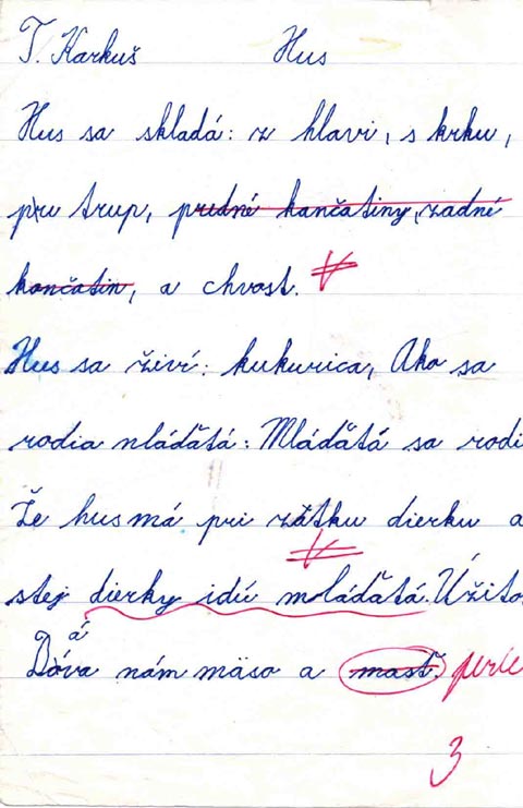 31-decka.jpg