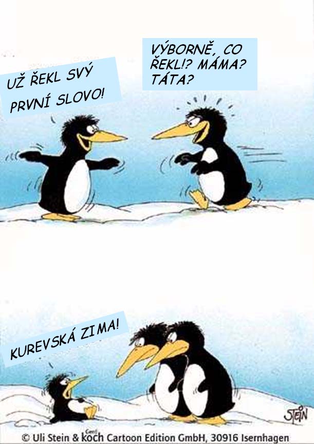 78-tucnacek.jpg